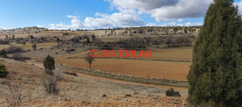 KONYA BEYŞEHİR G&Ouml;K&Ccedil;İMENDE SATILIK 16 D&Ouml;N&Uuml;M TARLA