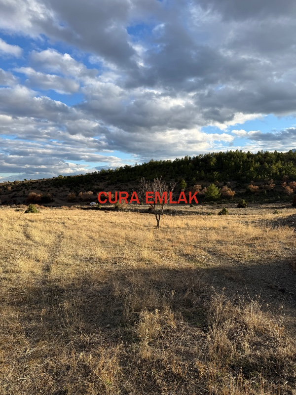 KONYA SEYDİŞEHİR YENİCEDE SATILIK 11 D&Ouml;N&Uuml;M DOĞA MANZARALI ARAZİ